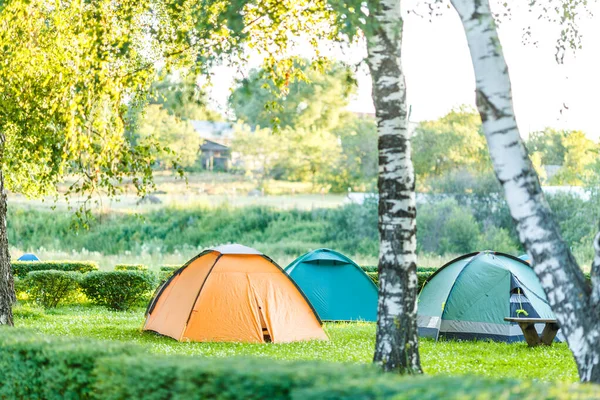 Tendas Área Acampamento Belo Lugar Natural Com Árvores Grama Verde — Fotografia de Stock