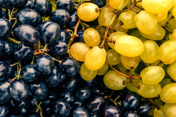 Zdjęcie Powyżej Grona Czarnych Zielonych Winogron — Zdjęcie stockowe