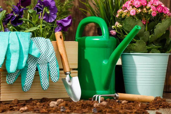 Trädgårdsredskap Och Blommor Terrassen Trädgården — Stockfoto