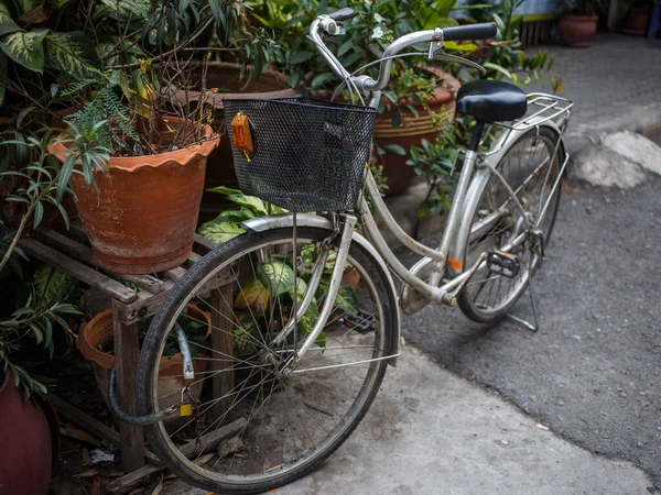 Bicicleta Con Cesta Está Aparcada Calle Con Flores Fondo —  Fotos de Stock