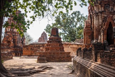Ayutthaya Tapınağı kalıntıları, Wat Maha ki Ayutthaya, Tayland bir dünya mirası alanı olarak. Ayutthaya Tarih Parkı