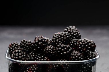 BlackBerry Studio boş siyah arka plan üzerine plastik kap içinde