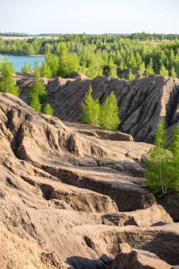 Yeşil ağaçlı ve gölü yaz günü olan pitoresk dağlık bölgenin fotoğrafı.