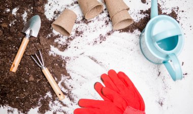 Bitki nakli için en iyi toprağın fotoğrafı, tırmık, kepçe, sulama kutusu, beyaz masada kırmızı eldivenler.