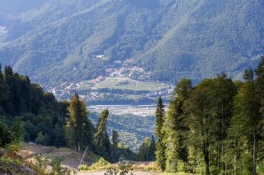 Yaz günü ağaçlı dağ yamaçlarının fotoğrafı.