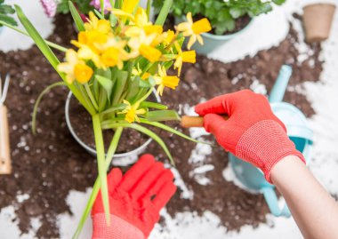 Masaya kasımpatı nakleden kırmızı eldivenli üst düzey kişilerin fotoğrafları.