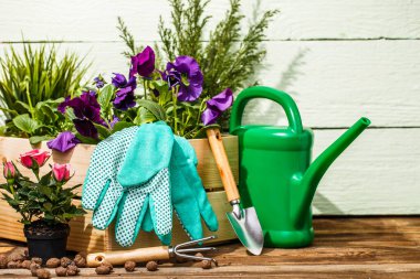 Bahçedeki terasta bahçe aletleri ve çiçekler.