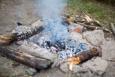 Yazın ormanda yanan kömürlerin fotoğrafı.