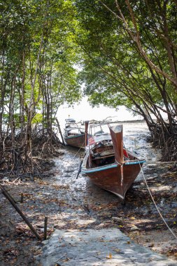 Railay Krabi adasında uzun bir tekne ve tropikal plaj. Tayland.