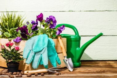 Bahçedeki terasta bahçe aletleri ve çiçekler.