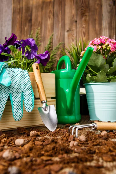 Gardening Tools Flowers Terrace Garden — Stock Photo, Image