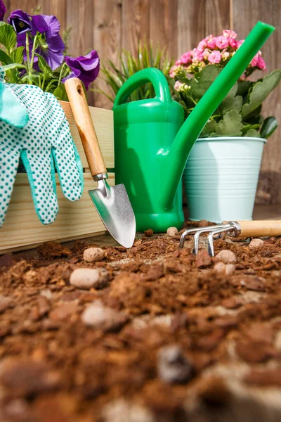 Gardening Tools Flowers Terrace Garden — Stock Photo, Image