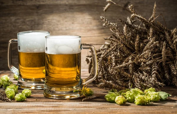 Two Mugs Beer Table Hop Wheat Empty Wooden Background — Stock Photo, Image