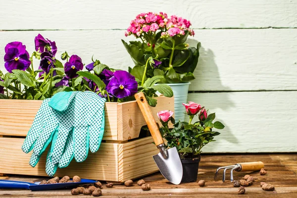 Outils Jardinage Fleurs Sur Terrasse Dans Jardin — Photo