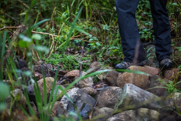 Homem Caminhante Pernas Ficar Rocha Montanha Com Árvores Verdes Fundo — Fotografia de Stock