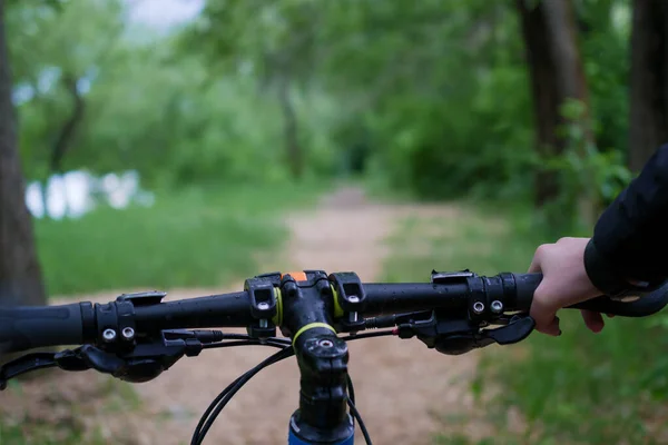 Photo of man's hand and bicycle rudder on blurred forest background