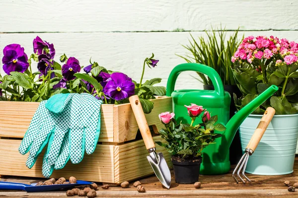 Εργαλεία Κηπουρικής Και Λουλούδια Στη Βεράντα Του Κήπου — Φωτογραφία Αρχείου