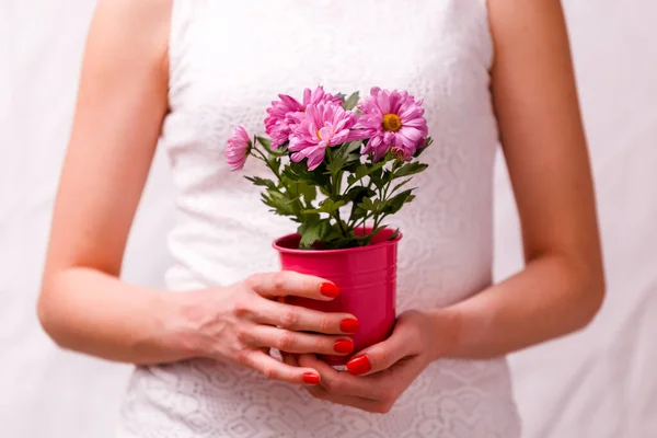 Imagem Mulher Segurando Panela Com Flor Rosa Close — Fotografia de Stock