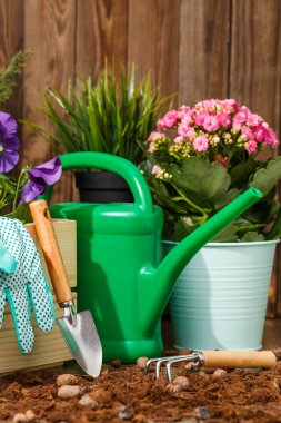 Bahçedeki terasta bahçe aletleri ve çiçekler.