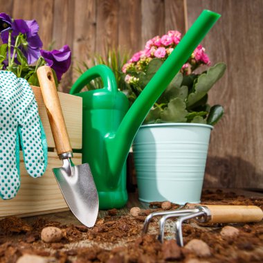 Bahçedeki terasta bahçe aletleri ve çiçekler.