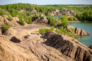 Yaz günü yeşil ağaçlı ve nehirli tepe manzarası