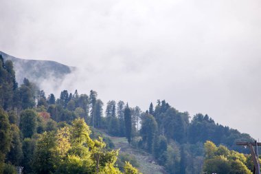 Yaz günü dağlık yamaçlarda bitki örtüsü ve bulutlu bir gökyüzü.