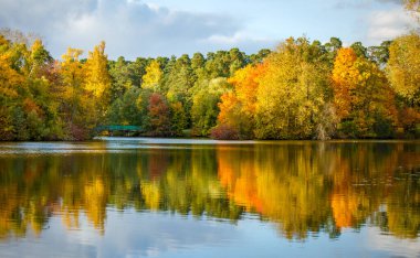 Gündüz vakti sonbahar ağaçları ve gölet