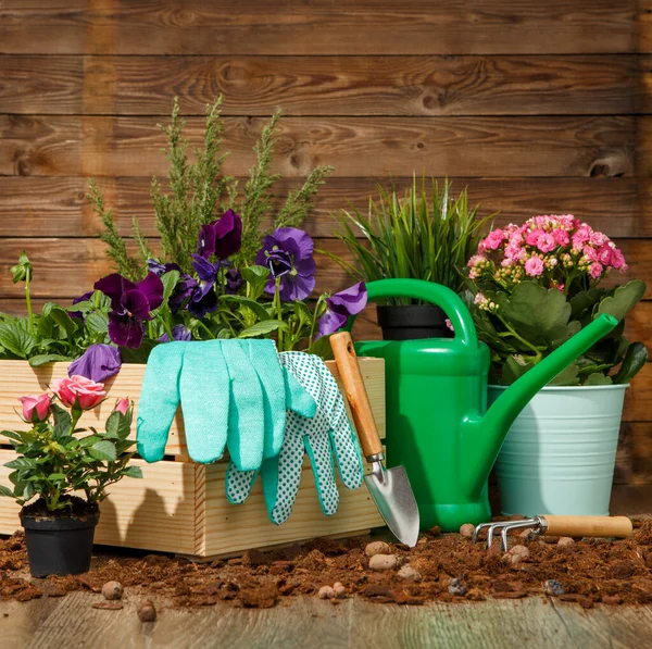 Herramientas Jardinería Flores Terraza Del Jardín — Foto de Stock