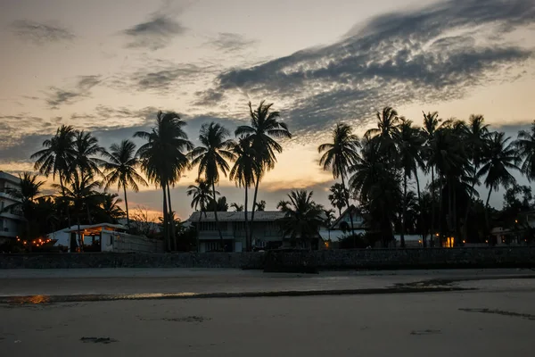 Palmy Pięknym Tle Zachodu Słońca Tajlandia — Zdjęcie stockowe
