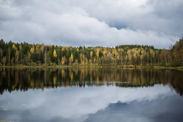 Forest Yellow Autumn Trees Grey Clouds Reflecting Calm Lake — Stock Photo, Image
