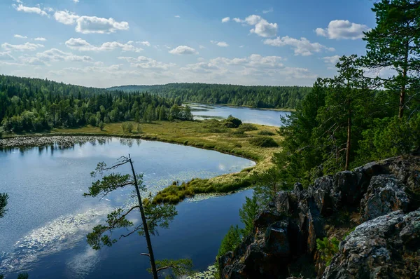 Picturesque landscape of lake at foot of mountain with trees