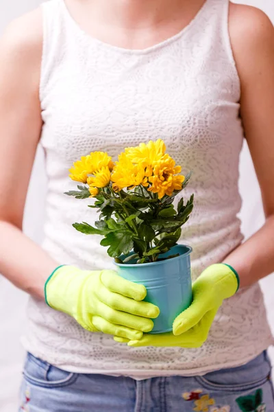 Photo of woman in rubber gloves holding pot with yellow flower, close-up