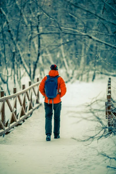 Φωτογραφία Του Άντρα Από Πίσω Περπάτημα Στη Λεωφόρο Χειμώνα Στο — Φωτογραφία Αρχείου