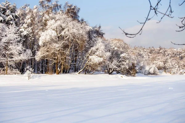 Photo Paysage Hivernal Pittoresque Avec Ciel Bleu Dans Après Midi — Photo