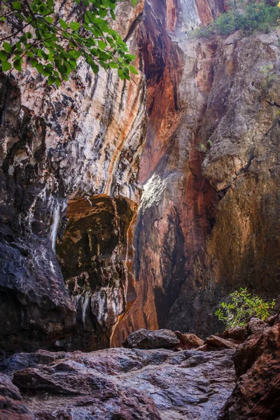 Вид Відомій Печері Франана Raylay Railay Beach Krabi Thailand — стокове фото