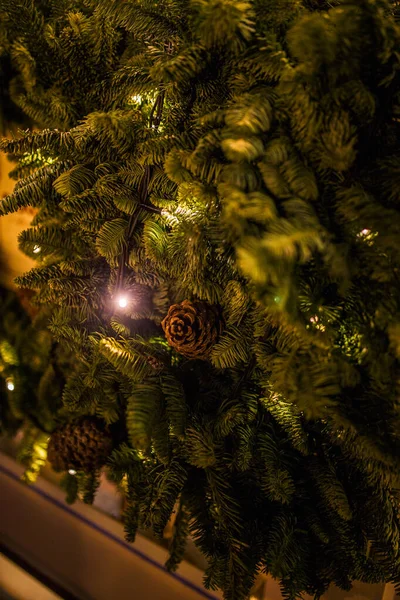 Photo Fir Tree Cones Close Burning Lights — Stock Photo, Image