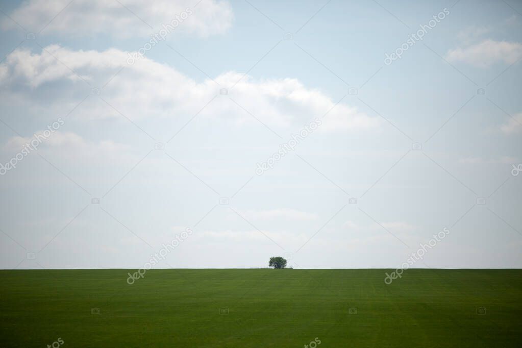 Photo of green lawn and cloudy blue sky during day