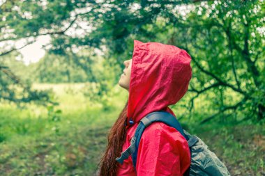 Kapüşonlu ve sırt çantalı bir kadının yaz öğleden sonra ormanda yürüyüşü.