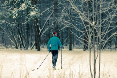 Görüntü, kış öğleden sonra ormandaki kayakçı sporcunun arkası.