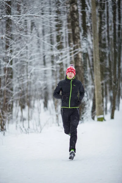 早晨在冬林树木间跑步运动员的照片 — 图库照片