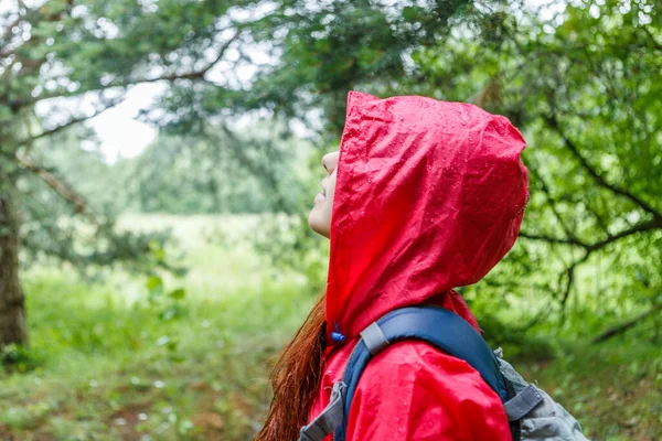 Zijaanzicht Van Vrouw Capuchon Met Rugzak Voor Wandeling Het Bos — Stockfoto