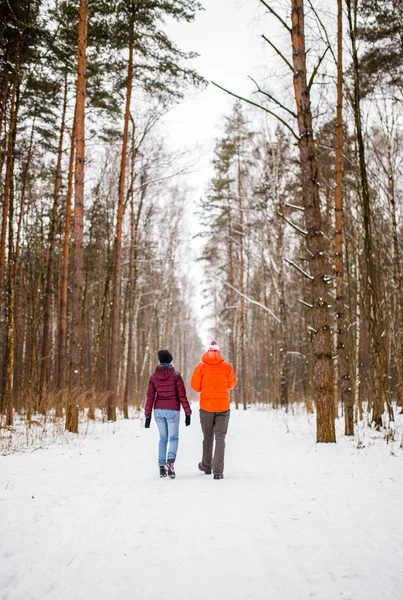 Foto Costas Homens Mulheres Caminhando Floresta Inverno Durante Dia — Fotografia de Stock