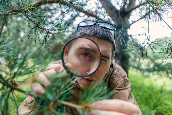 Immagine Uomo Con Lente Ingrandimento Accanto Pino Nella Foresta Giorno — Foto Stock