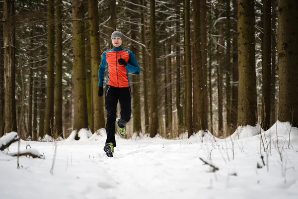 朝の冬の森の木の中で実行している運動選手の写真 — ストック写真
