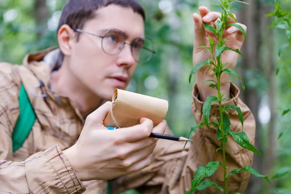 Foto Homem Com Caderno Lápis Estudando Planta Floresta Tarde Verão — Fotografia de Stock