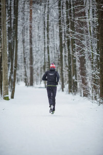 Zdjęcie Tyłu Biegającego Sportowca Wśród Drzew Zimowym Lesie Rano — Zdjęcie stockowe
