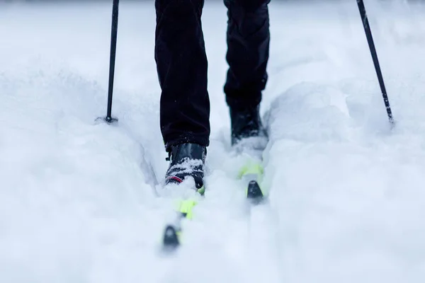 겨울에는 막대기로 스키를 사람의 — 스톡 사진