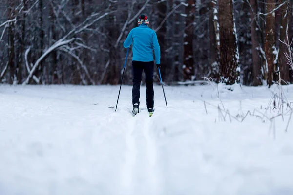 Imagem Parte Trás Atleta Esquiador Floresta Tarde Inverno — Fotografia de Stock