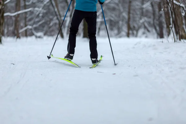 照片来自冬日下午滑雪者身后的树木背景 — 图库照片