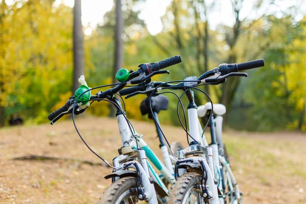 Zdjęcie Dwóch Rowerów Rozmytym Tle Jesiennego Parku Godzinach Popołudniowych — Zdjęcie stockowe